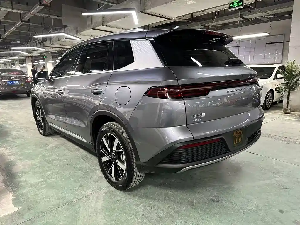 BYD Pro New Energy 2025 — фото 4