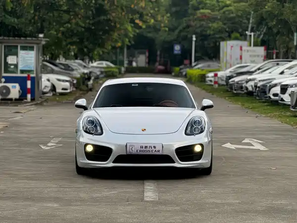 Porsche Cayman 2014