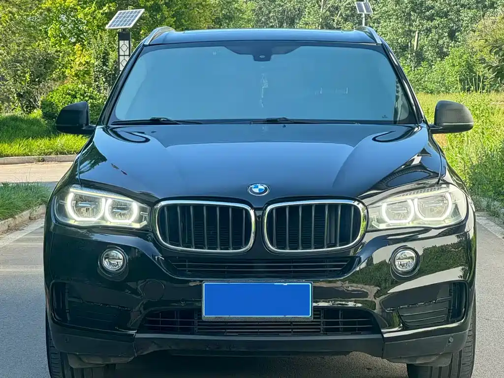 BMW X5 2017 — фото 2