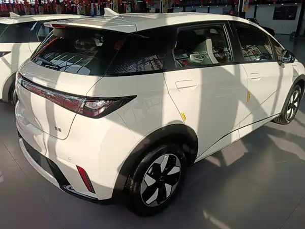 BYD Dolphin 2026