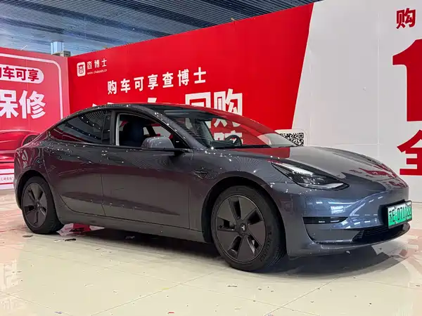 Tesla Model 3 2021