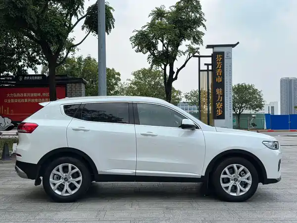 Haval H6 2020