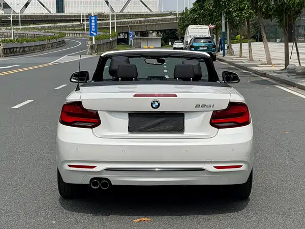 BMW 2 Series 2019