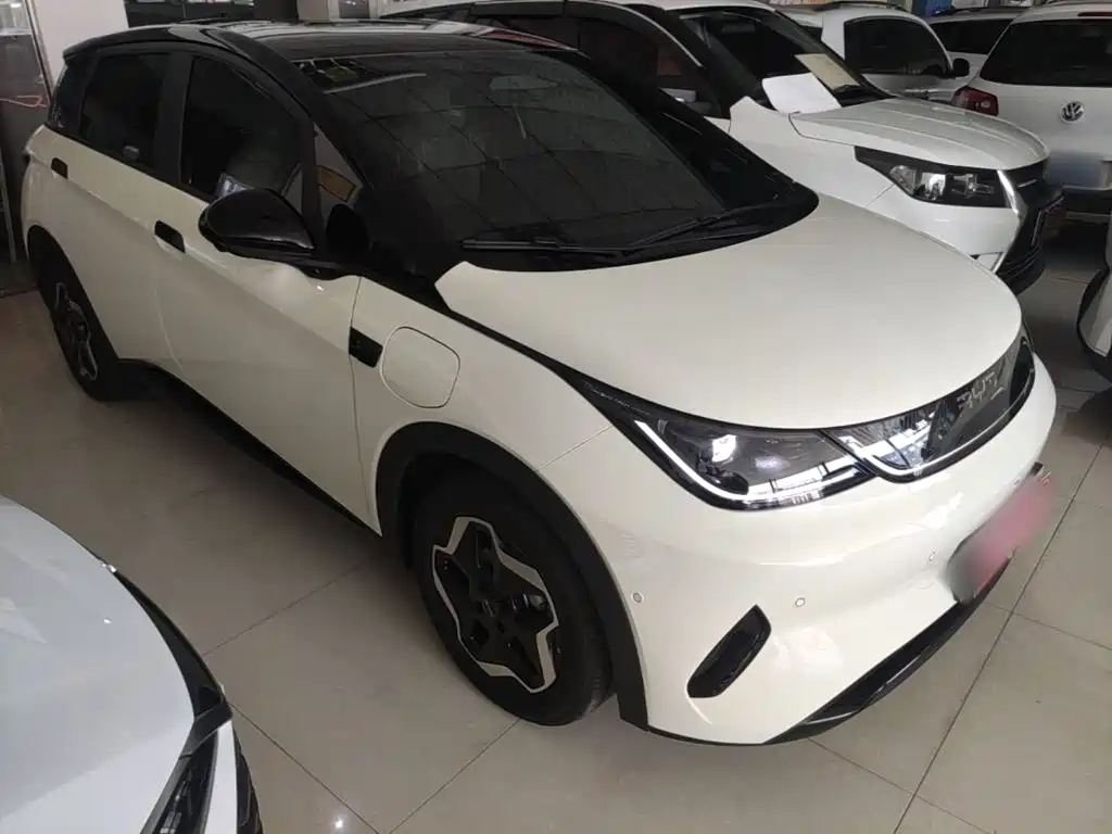 BYD Dolphin 2026