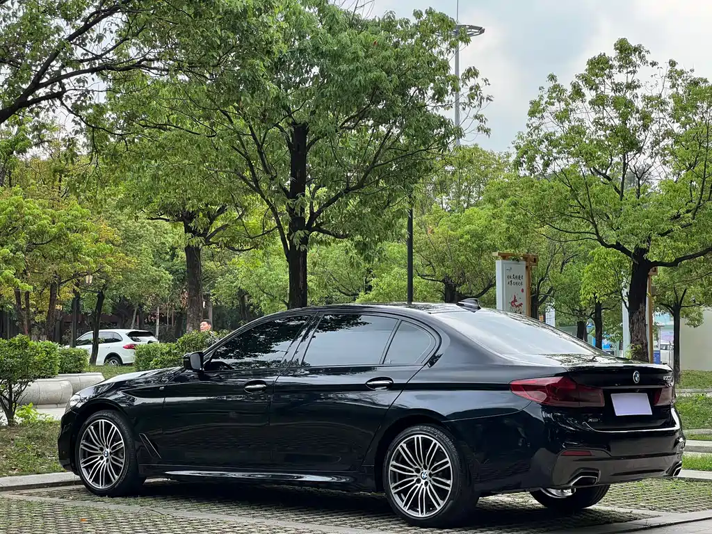 BMW 5 Series 2017 — фото 19