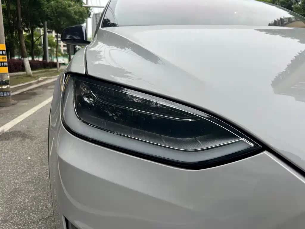 Tesla Model X 2018 — фото 16