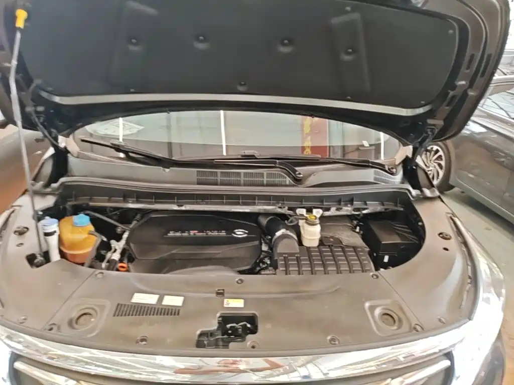 GAC Trumpchi M8 2020 — фото 20