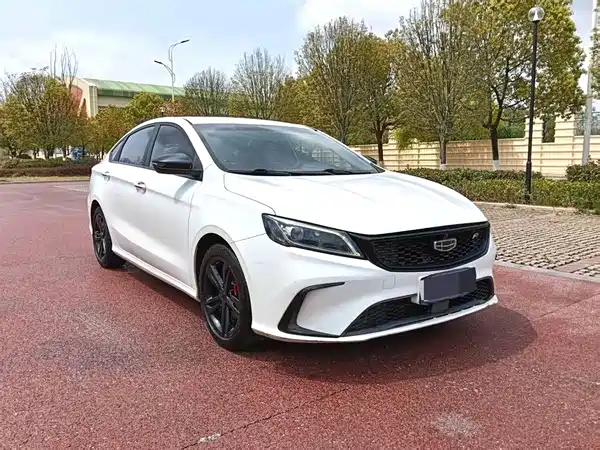Geely Binrui 2021