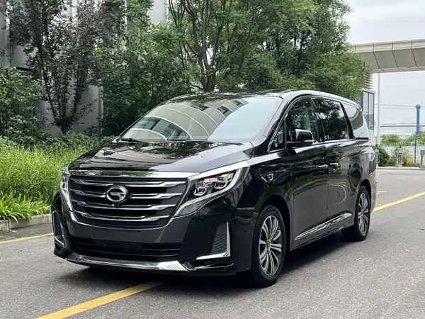GAC Trumpchi M8 2020