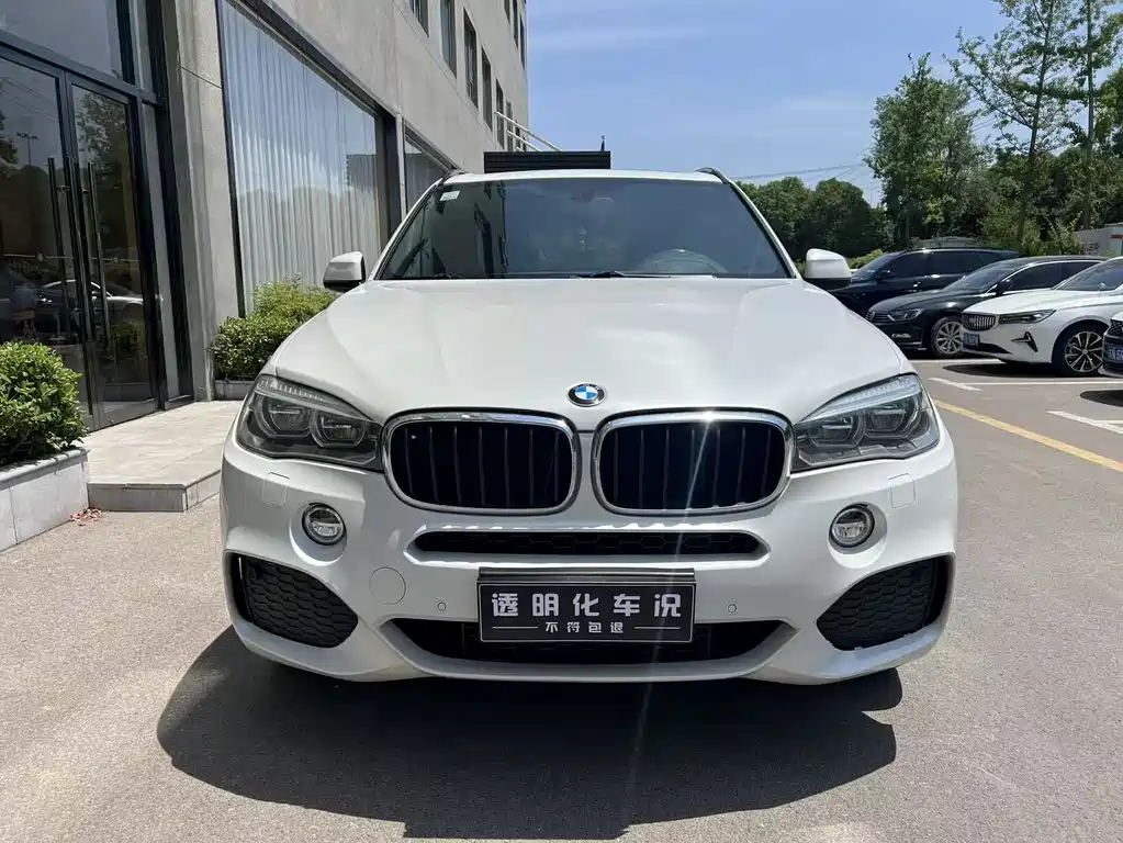 BMW X5 2017 — фото 2