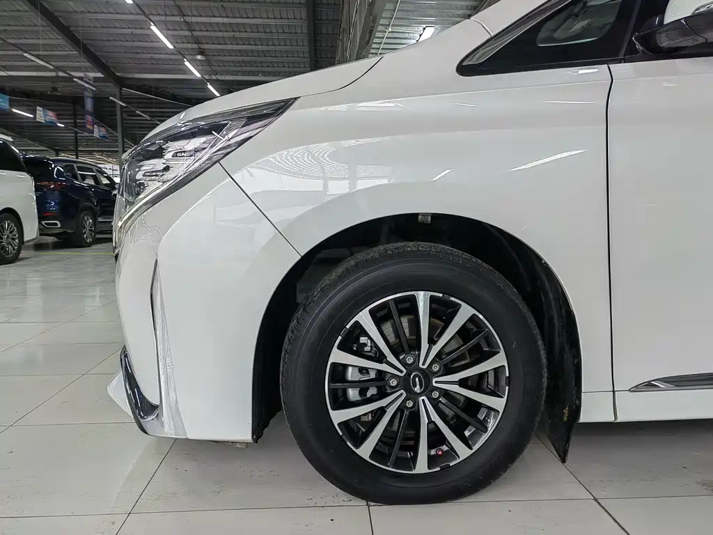 GAC Motor Trumpchi M8 2023 — фото 5