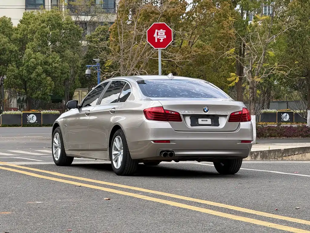 BMW 5 Series 2014 — фото 6
