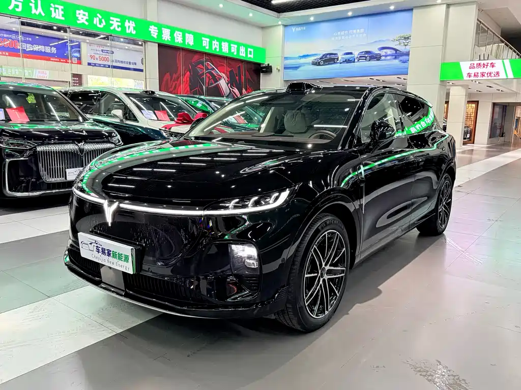 VOYAH Zhiyin 2025