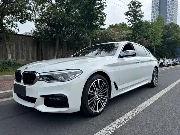 BMW 5 Series 2019