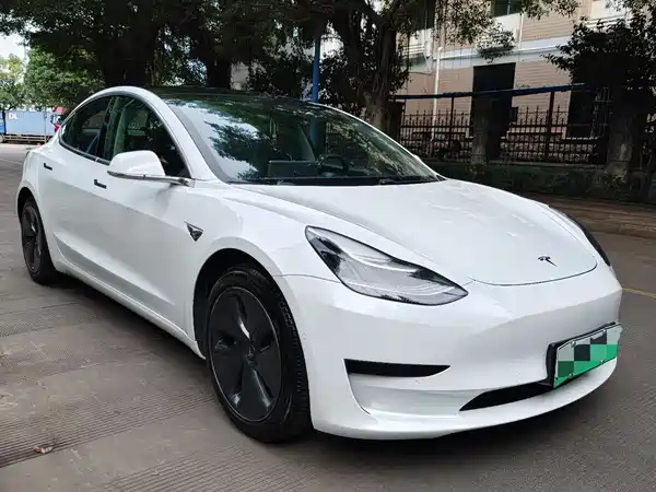 Tesla Model 3 2020