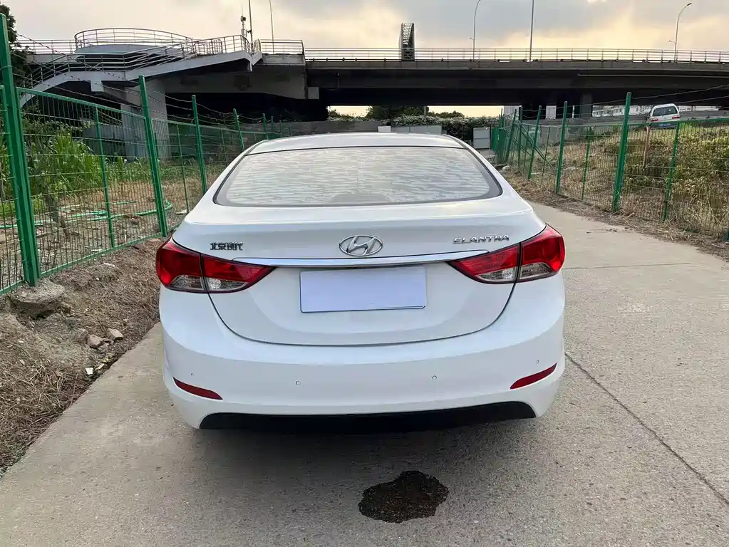 Hyundai Elantra Langdong 2015 — фото 15