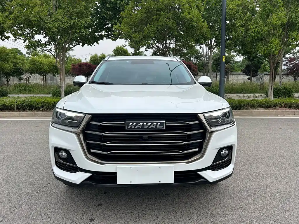 Haval H6 2021 — фото 2