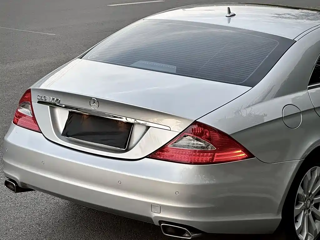 Mercedes-Benz CLS 2010 — фото 6