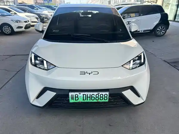 BYD Seagull 2024