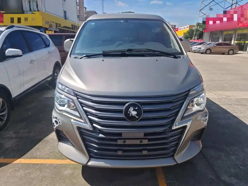 Dongfeng Lingzhi 2025