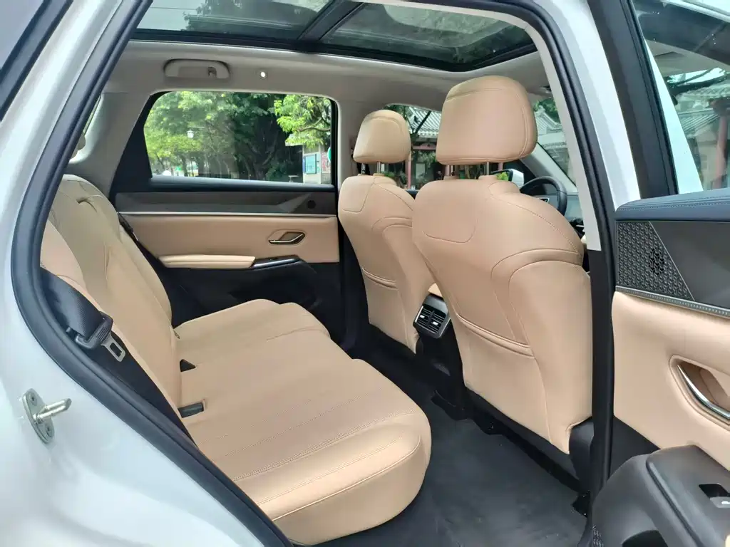 BYD Pro New Energy 2025 — фото 12