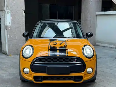 MINI MINI 2015