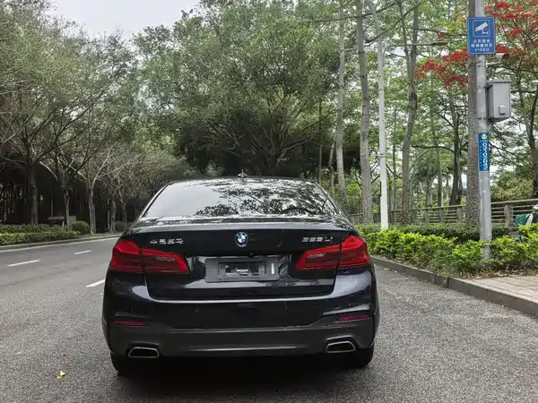 BMW 5 Series 2020