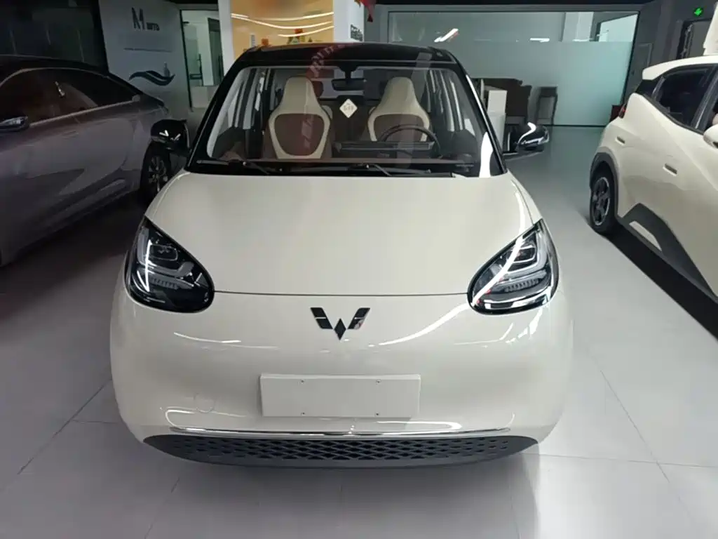Wuling Bingo 2024