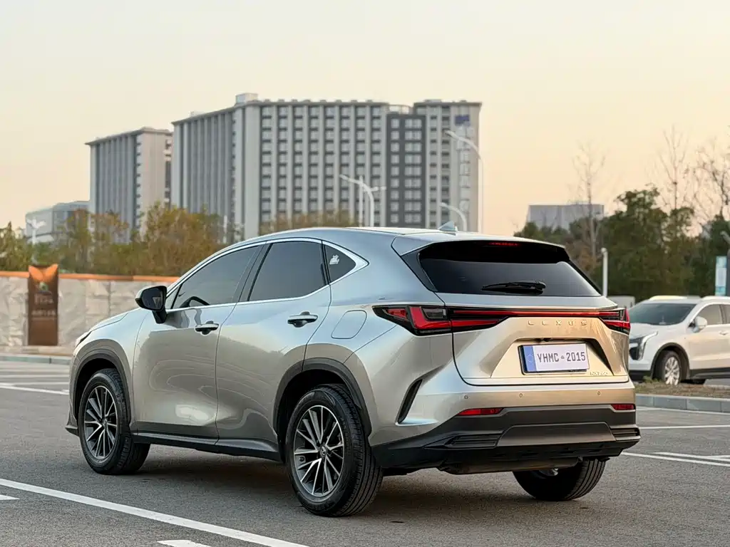Lexus NX 2022 — фото 18