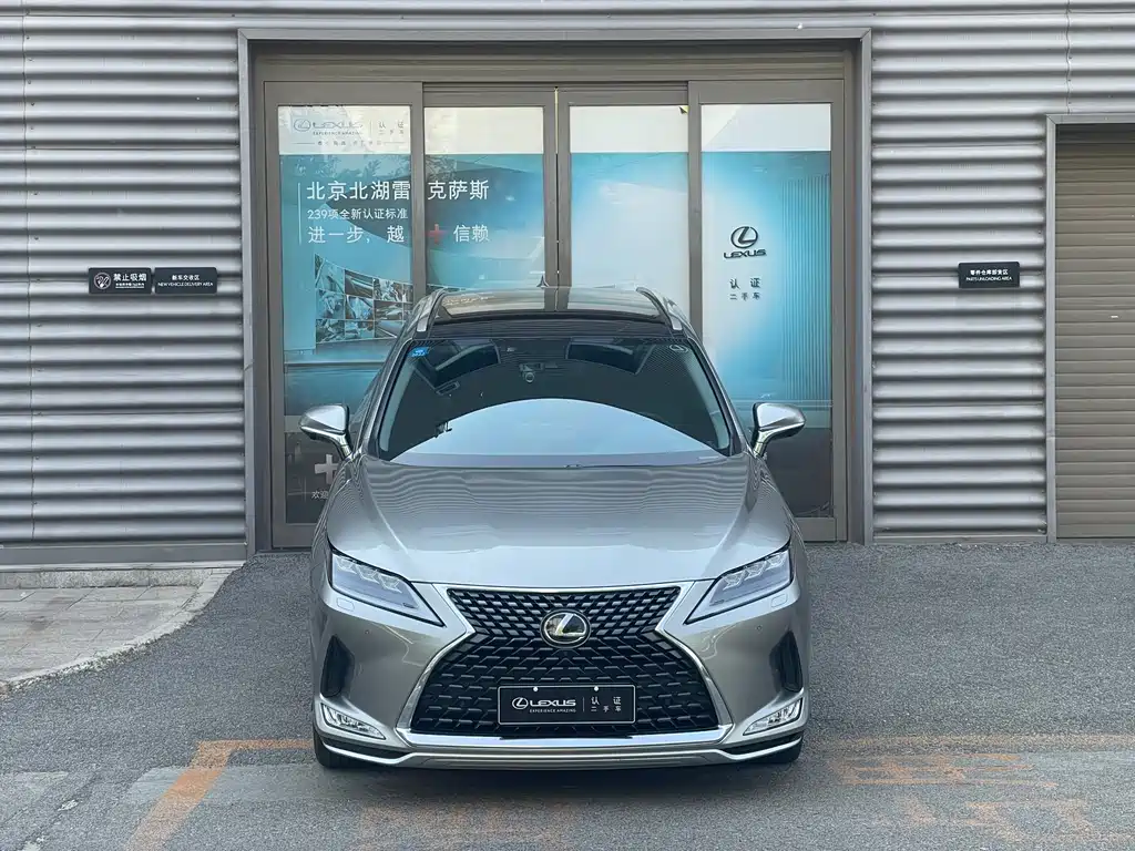 Lexus RX 2020 — фото 14