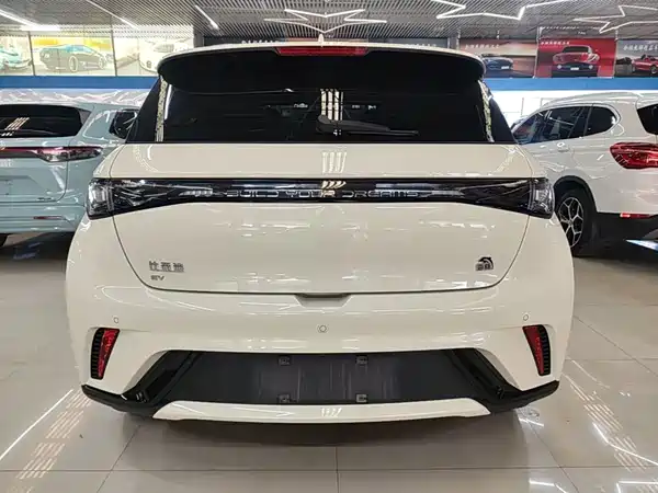 BYD Dolphin 2024