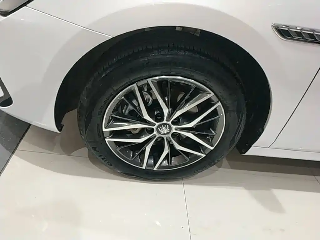 BYD Qin PLUS 2024 — фото 23