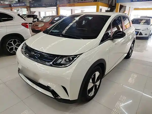 BYD Dolphin 2024