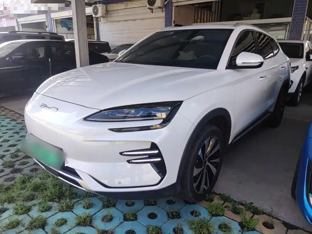 BYD Song PLUS New Energy 2024 — фото 2