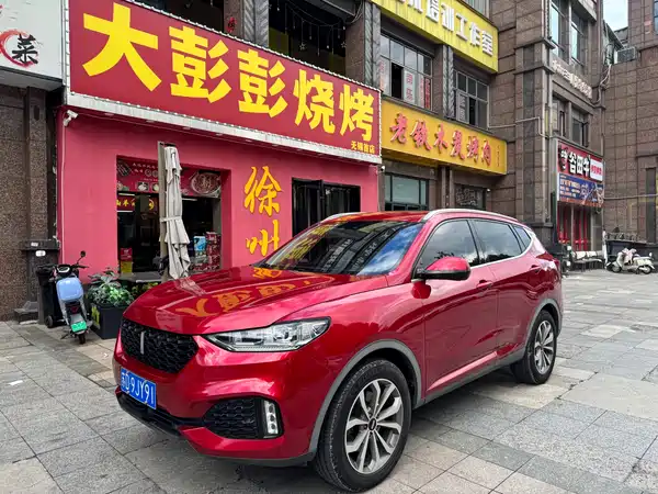 Wey VV6 2019