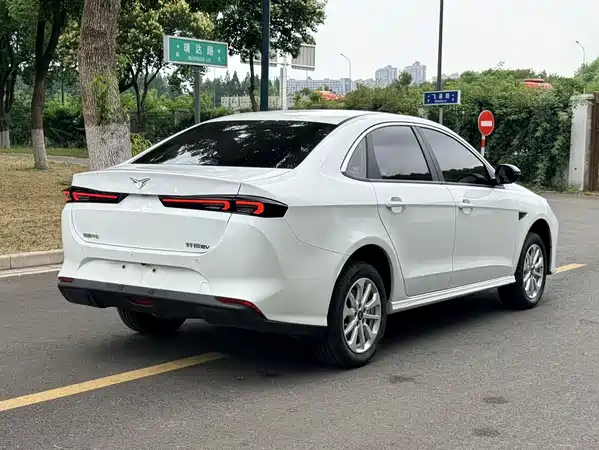 Cowin XuanDuEV 2025