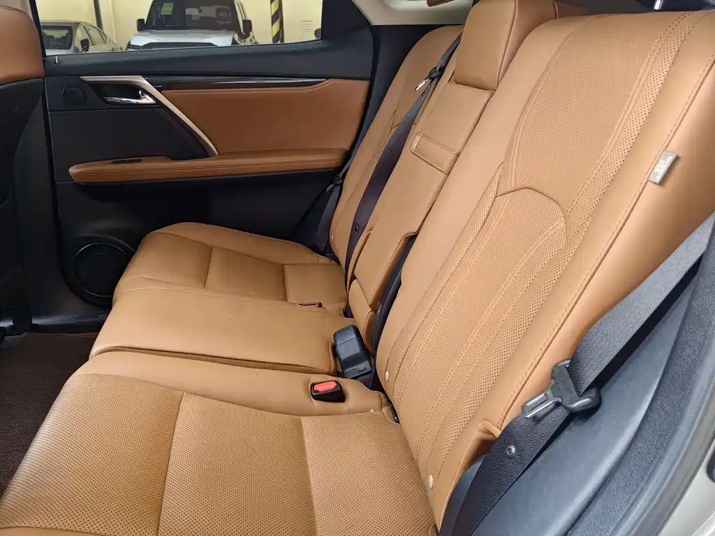 Lexus RX 2020 — фото 15
