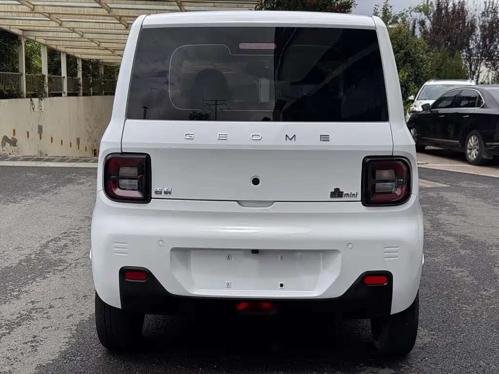 Geely Galaxy Panda 2023 — фото 16