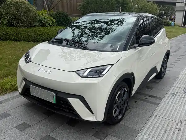 BYD Seagull 2025