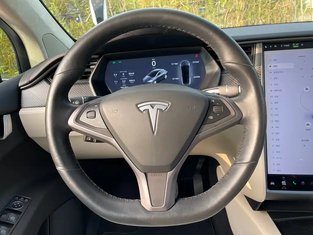 Tesla Model X 2019 — фото 16