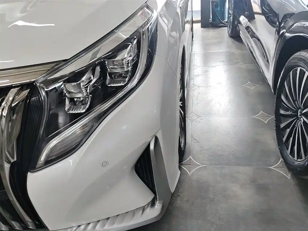 GAC Motor Trumpchi M8 2022 — фото 24