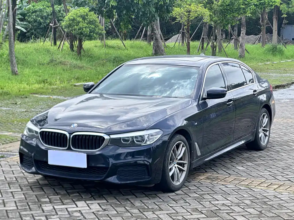 BMW 5 Series 2020 — фото 1