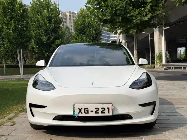 Tesla Model 3 2022