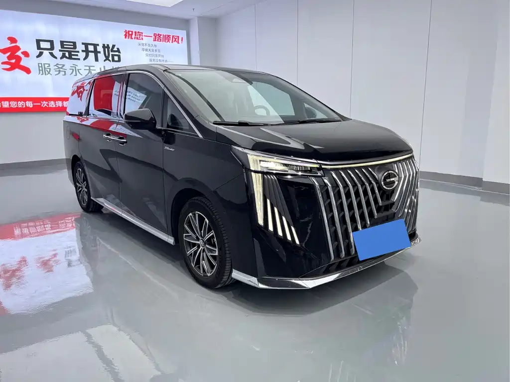 GAC Motor Trumpchi M8 2024 — фото 3