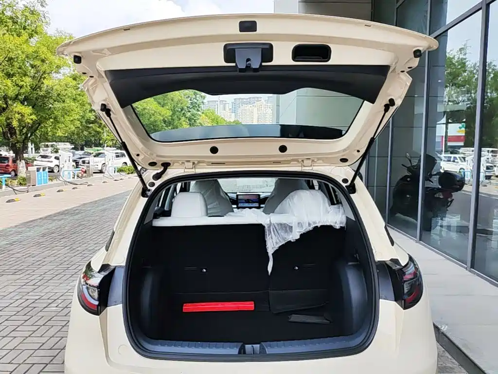Geely Galaxy Starwish 2026 — фото 18