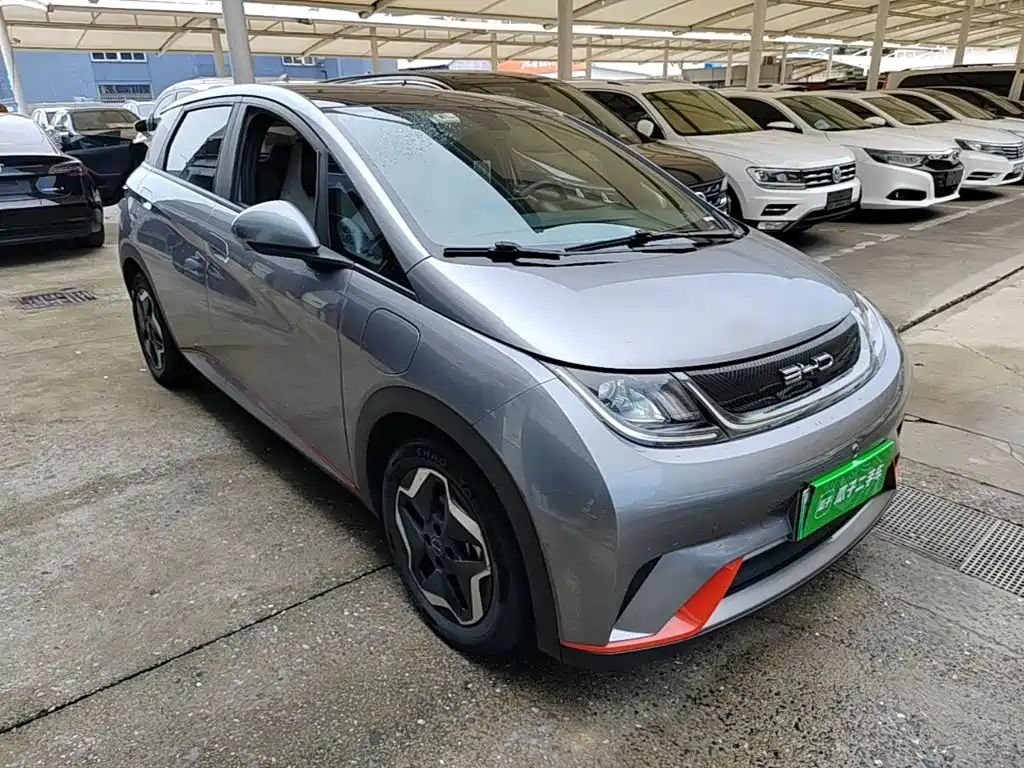 BYD Dolphin 2022