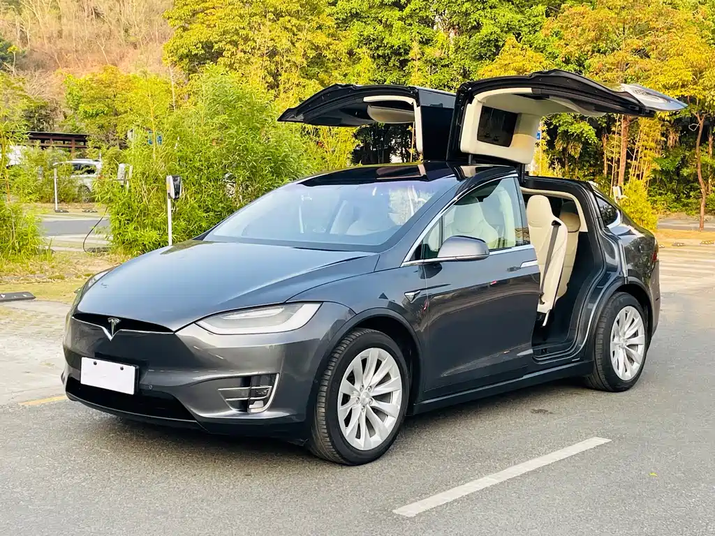 Tesla Model X 2019 — фото 6