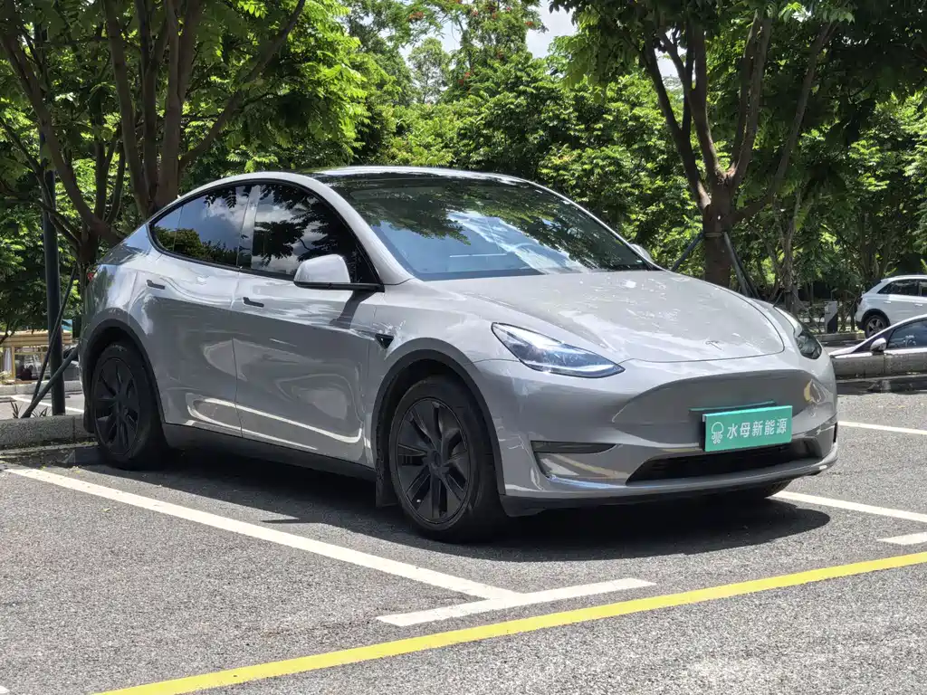 Tesla Model Y 2024 — фото 3