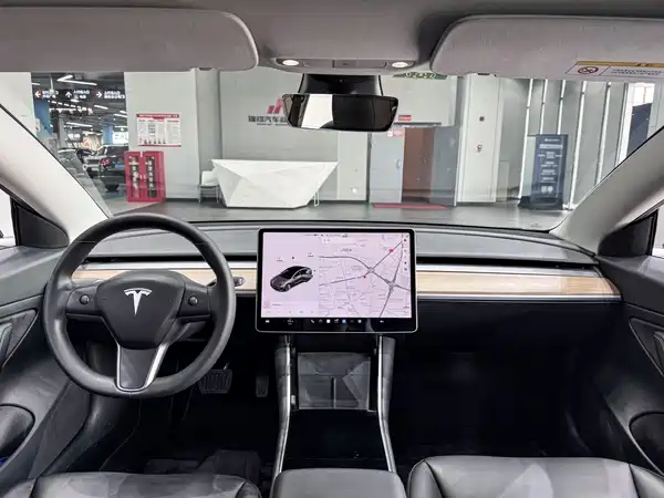 Tesla Model 3 2020