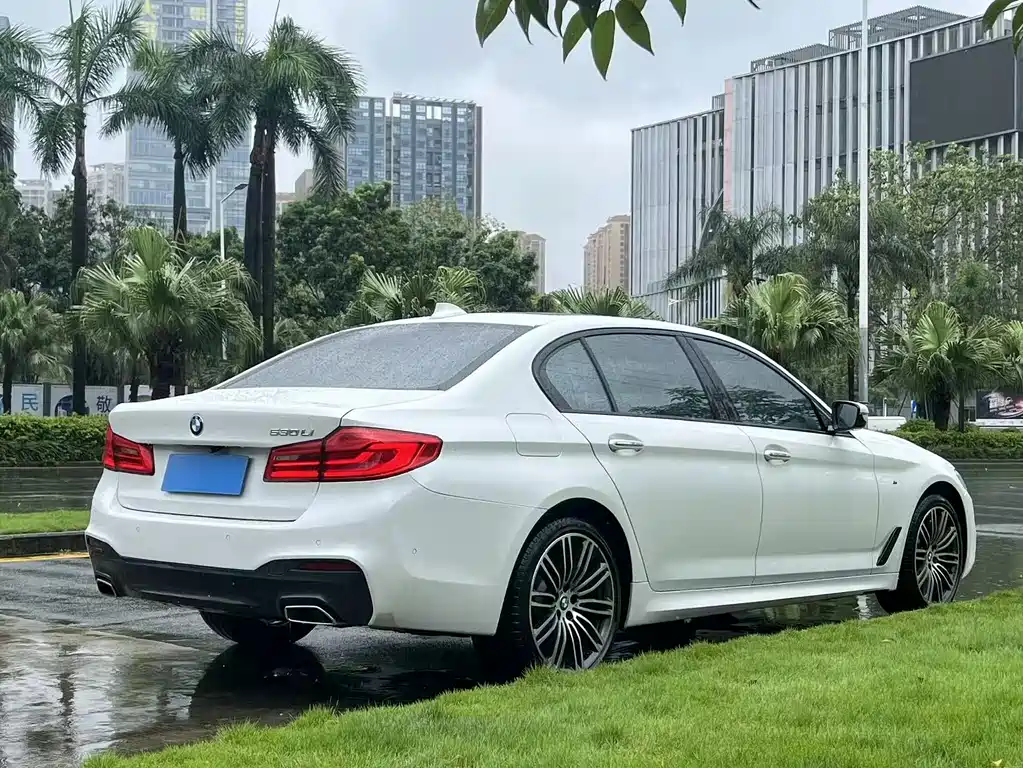 BMW 5 Series 2018 — фото 8